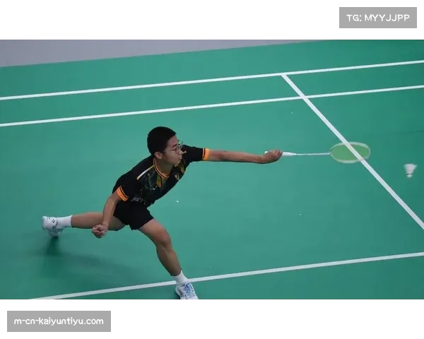 羽毛球运动数据标准化进程推进 不同系统间兼容性成下一步重点